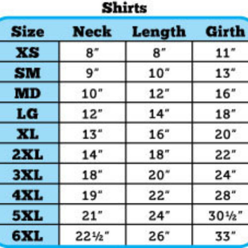 Sample Sale - Small In My Doggie Diva Era t shirt with ruffles or ruffles & bows